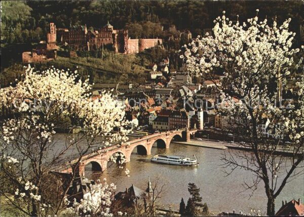 Heidelberg Neckar Mandelblüte Schloss Alte Brücke