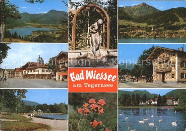 Wiessee Bad Teich Schwäne Berge Schwäne