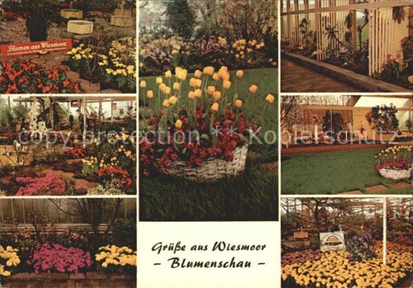 Wiesmoor Blumenschau