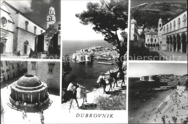 Dubrovnik Ragusa Meer Strand Ansicht
