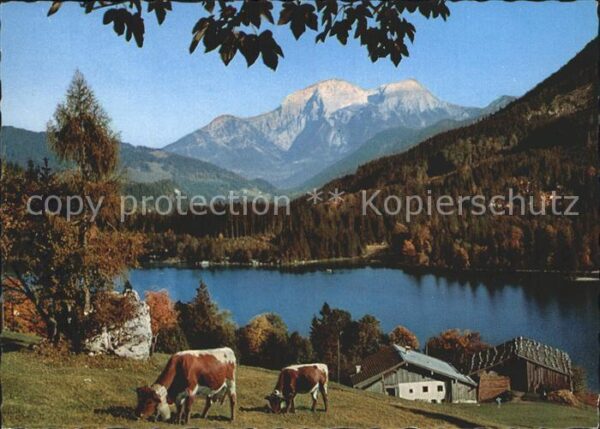 Hintersee Berchtesgaden Kehlstein Göll Brett