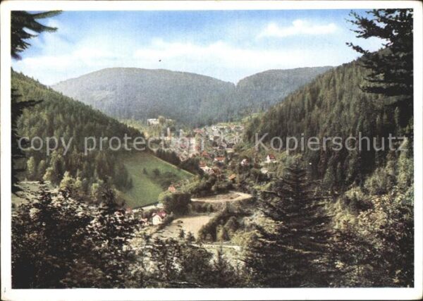 Triberg Schwarzwald Panorama