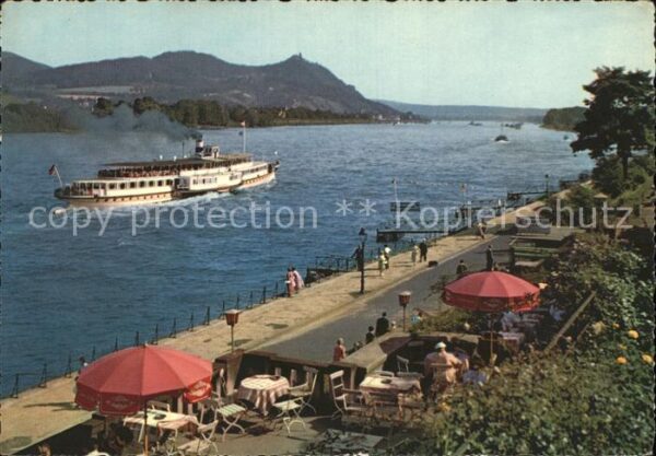 Godesberg Bad Rhein Siebengebirge