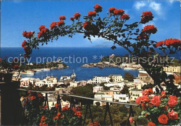 Ischia Hafen