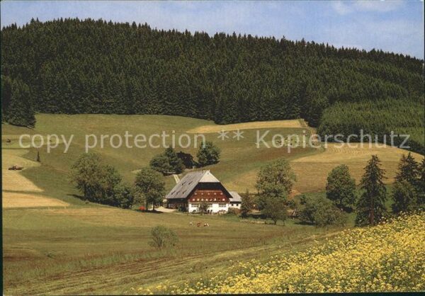 Schwarzwald Bauernhaus