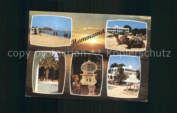 Hammamet Strand Vogelkäfig Kamele