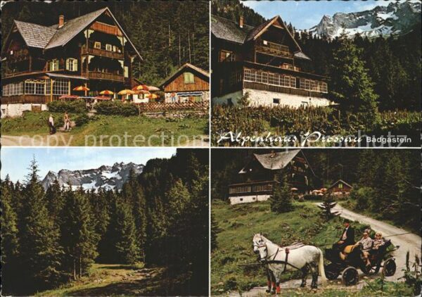 Badgastein Alpenhaus Prossau Pferdekutsche