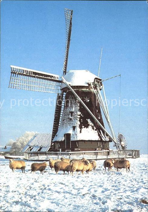 Wormer Windmühle im Schnee