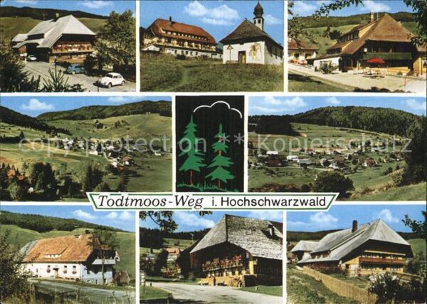 Weg Todtmoos Panorama Schwarzwaldhäuser Gesamtansich