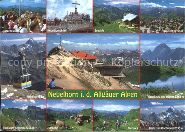 Oberstdorf Nebelhornbahn Almkühe Schneck Gleitweg