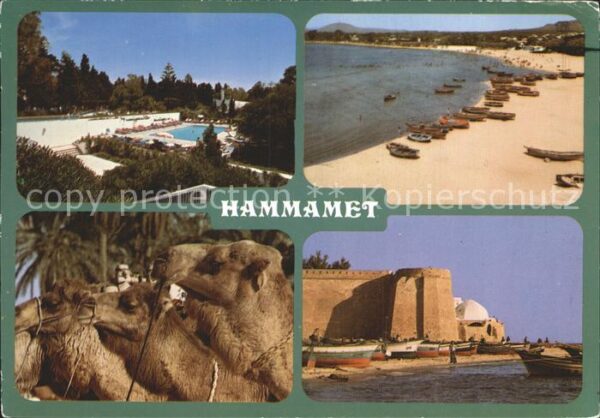Hammamet L_Hotel Miramar