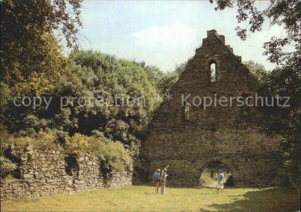 Nossen Klosterruine Altzella