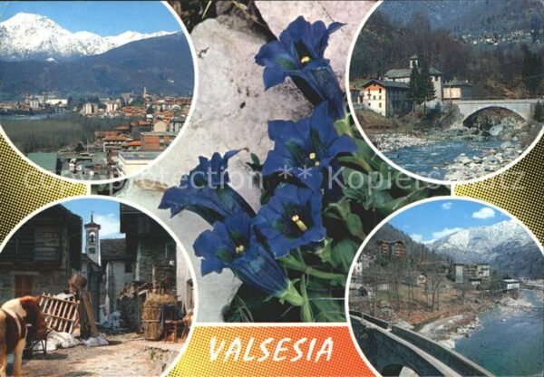 Valsesia Carcoforo Pony Blume Brücke