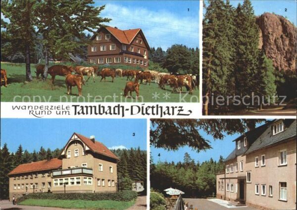 Tambach-Dietharz Berghotel Ebertswiese Falkenstein Rodeb