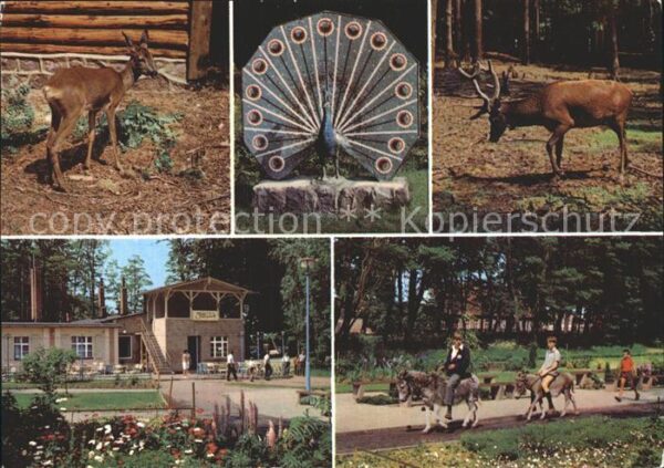 Ueckermuende Mecklenburg Vorpommern Tierpark