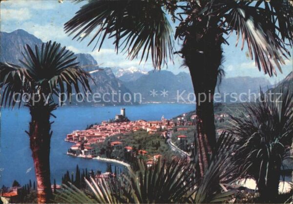 Malcesine Lago di Garda Gesamtansicht