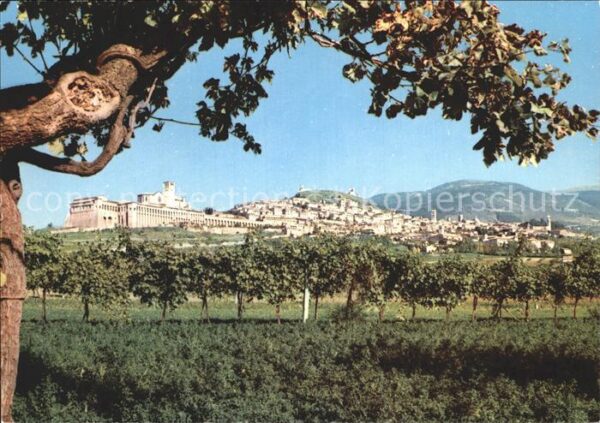 Assisi Umbria Gesamtansicht