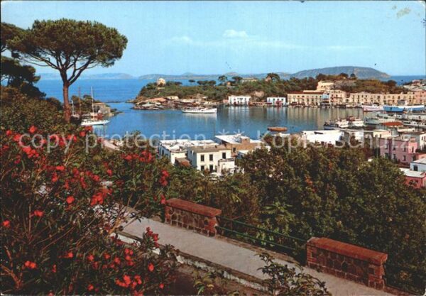 Ischia porto Hafen