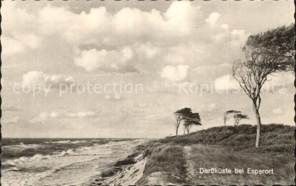 Darss Region Ostsee Küste Esperort