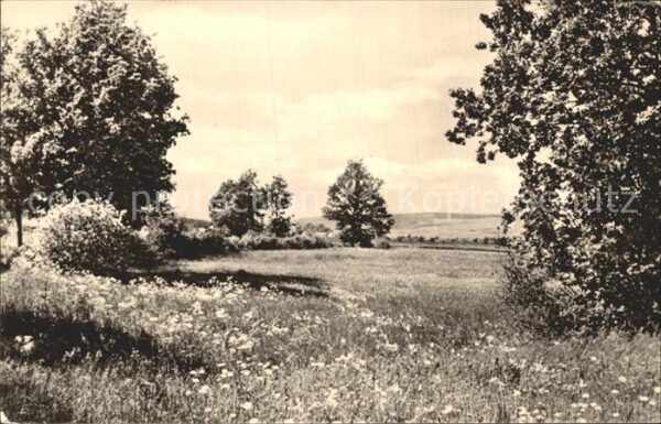 Reichenbach Vogtland Landschaftsaufnahme