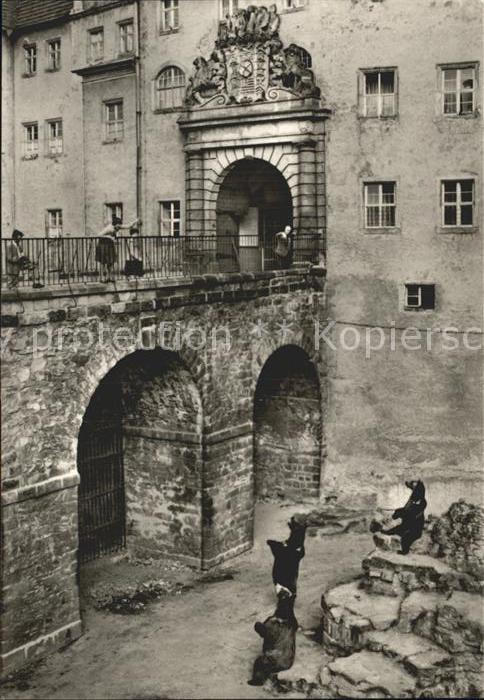 Torgau Bärenfreigehege Schloss Hartenfels