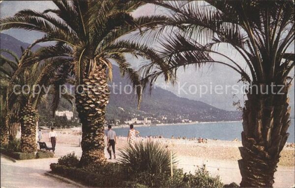 Gagra Schwarzes Meer Palmen Strand