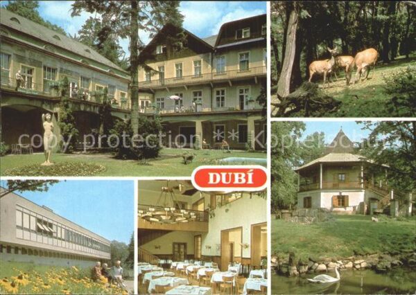 Dubi Zoo Kurklinik