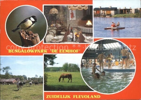 Zuidelijk Flevoland Bungalowpark Eemhof Schwimmba