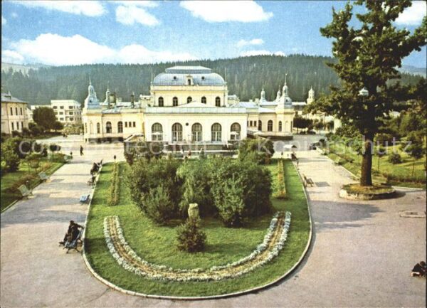 Vatra Dornei Le Club