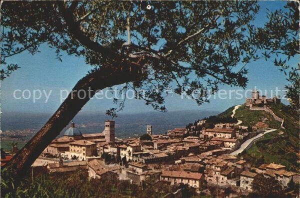 Assisi Umbria Panoram aus Rocchicciola