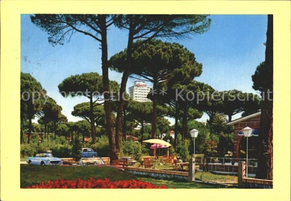 Milano Marittima Pinienhain