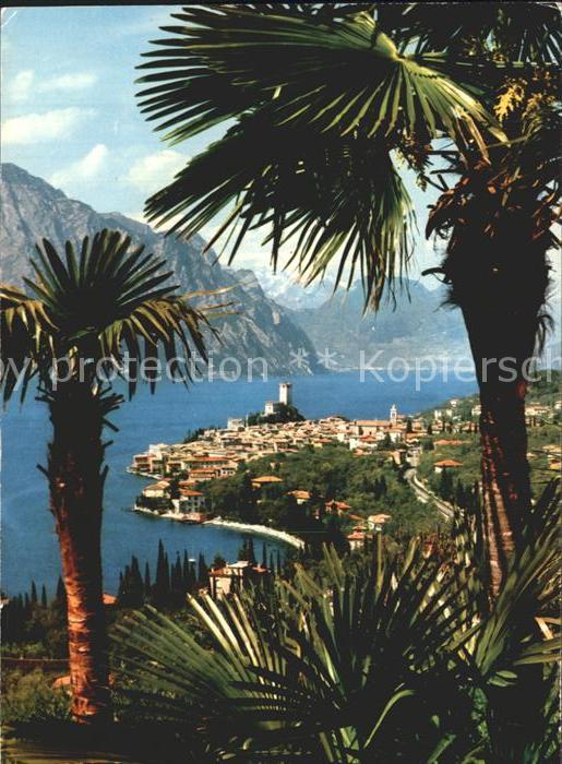 Malcesine Lago di Garda Panorama