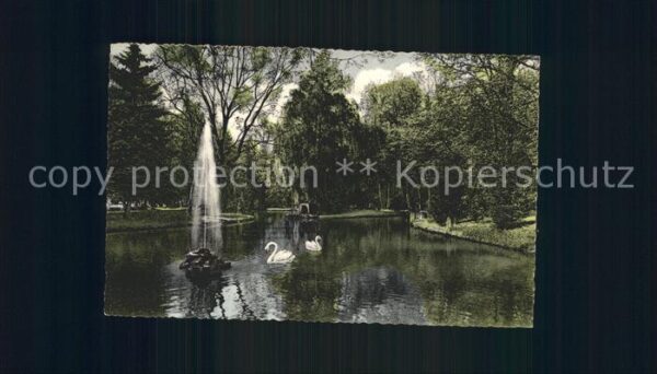 Bad Orb Weiher im Kurpark Fontäne Schwäne