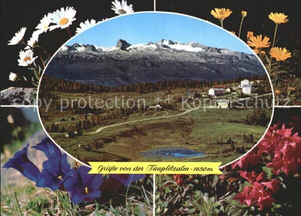 Tauplitzalm mit Dachsteingebirge Seengebiet Alpenfl