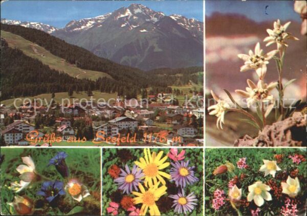 Seefeld Tirol Gesamtansicht mit Alpenpanorama Alpenbl