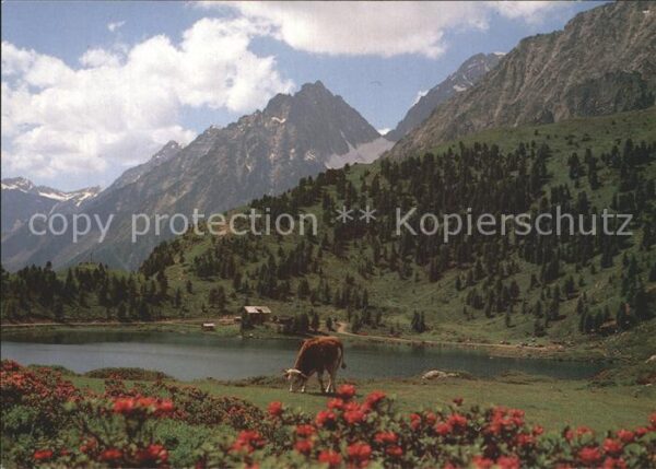 St Jakob Defereggen Wanderparadies am Obersee Oberseehütte