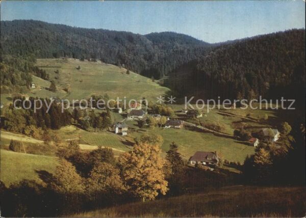 Ruette Todtmoos Panorama Schwarzwald Herbststimmung