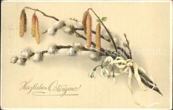 Ostern Easter Paques Weidenkätzchen Litho