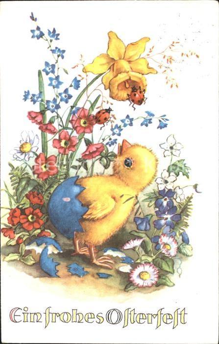 Ostern Easter Paques Küken Marienkäfer Narzisse Primeln Verg