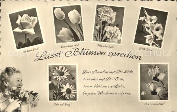 Blumen Blumensprache Rose Tulpe Nelke Gedicht