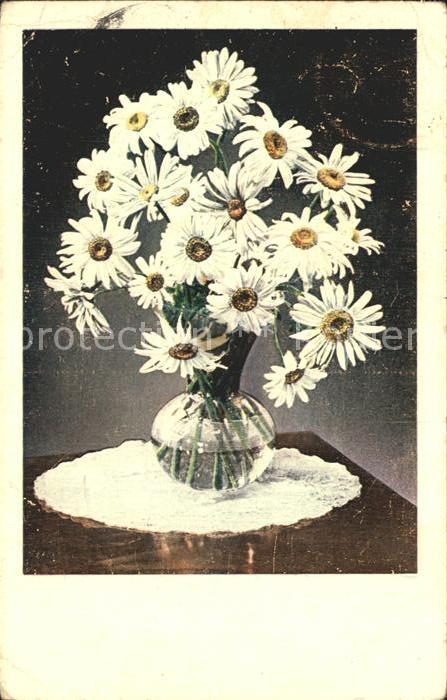 Blumen Margeriten