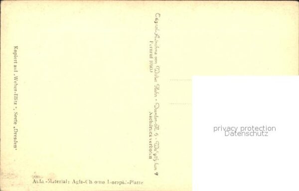 Blumen Blühender Fingerhut – Bild 2