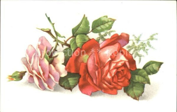 Rosen