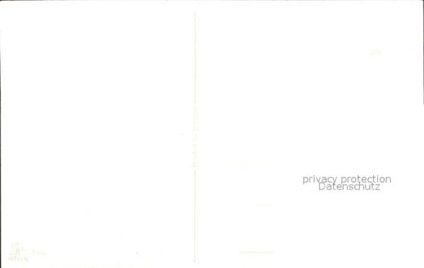 Rosen – Bild 2