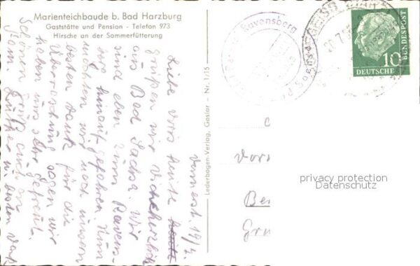 Hirsch Marienteichbaude – Bild 2