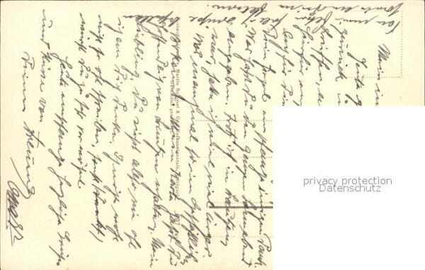 Rosen – Bild 2