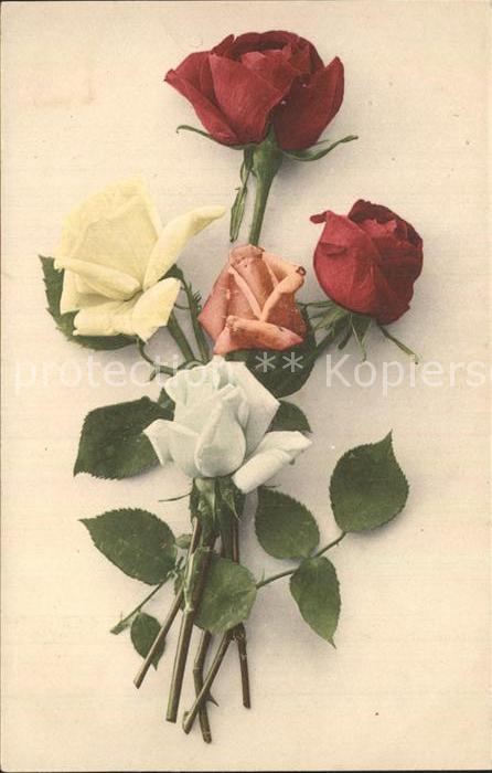 Rosen