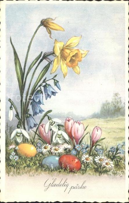 Ostern Easter Paques Narzissen Krokusse Schneeglöckchen Oste