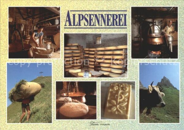 Sennerei Alpsennerei Vorarlberg Käse