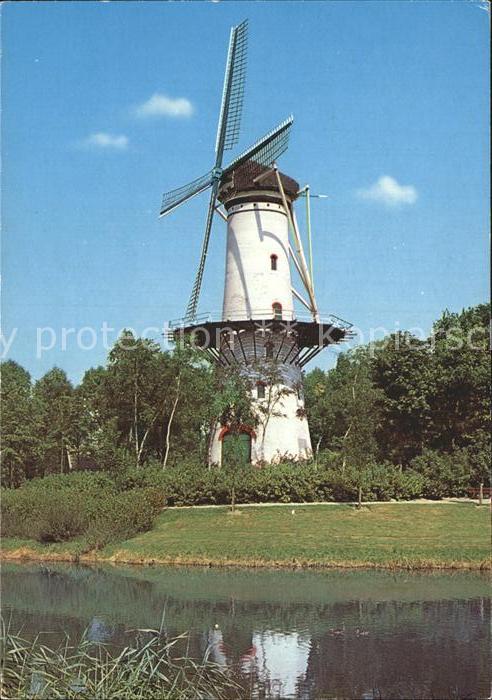 Windmuehle De Hoop Tholen Korenmolen
